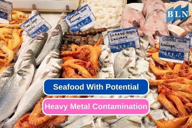 Understanding Seafood with Potential Heavy Metals Contamination